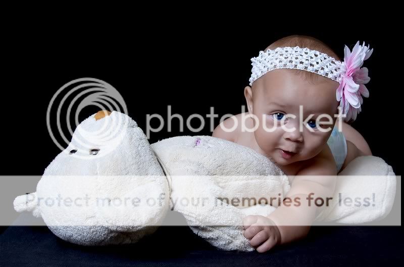 IMAGE: http://i762.photobucket.com/albums/xx262/focus-pocus/img_20.jpg