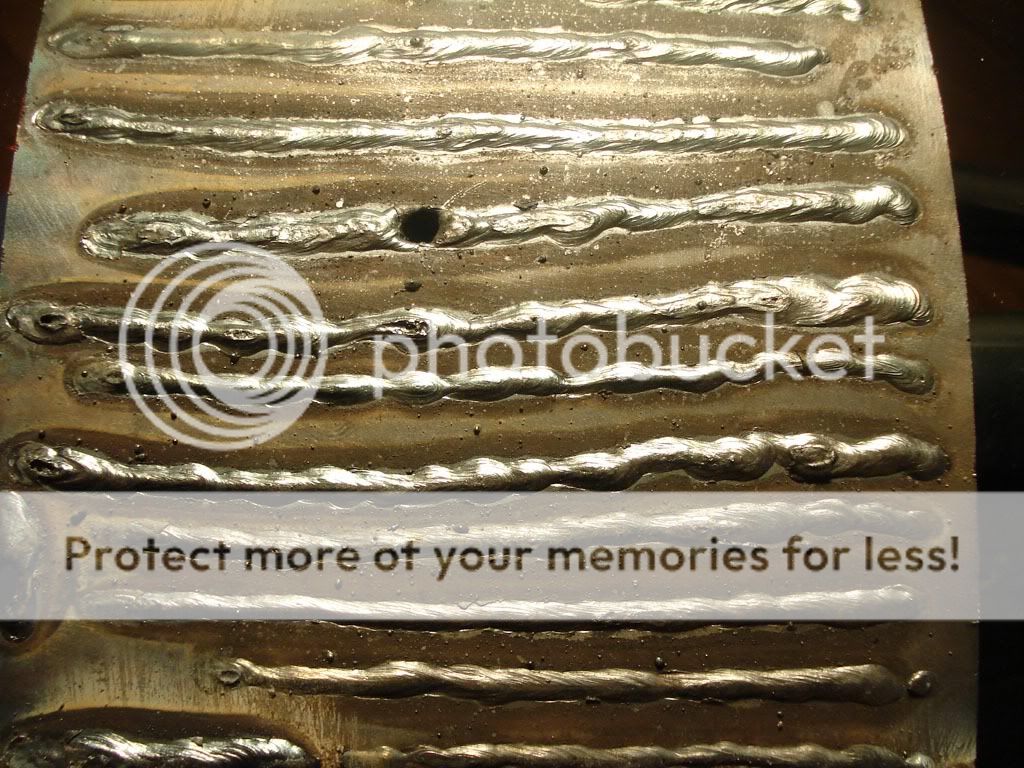 DSC05956.jpg