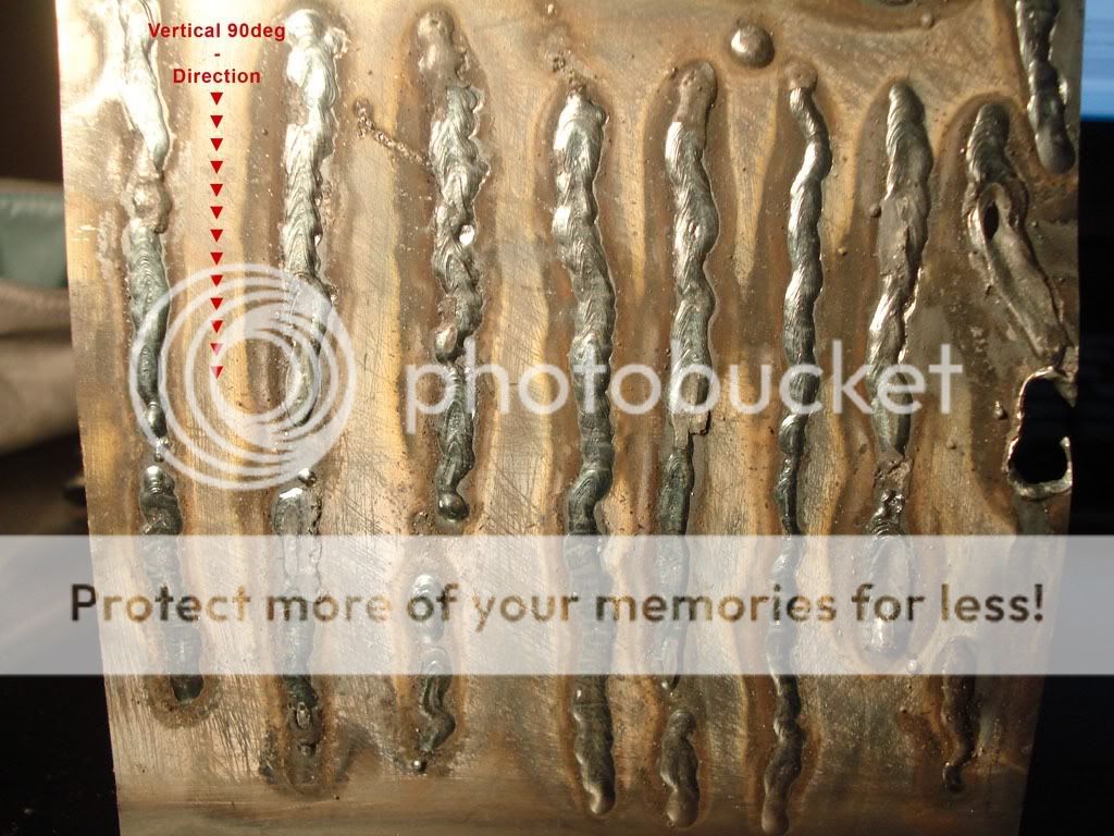 DSC05986.jpg