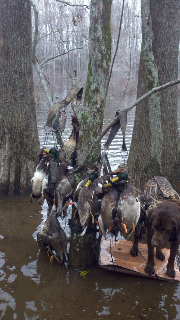 A few good hunts Mississippi Hunting and Fishing Forums