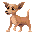 449c2f91.gif Brown Chihuahua image by jacabur1