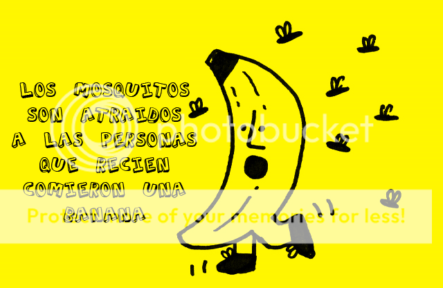 en en