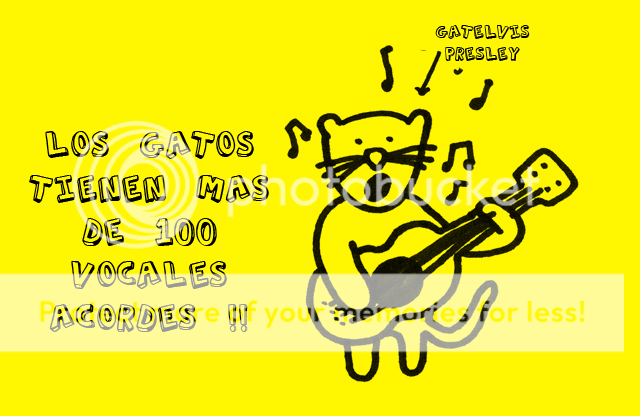rato rato