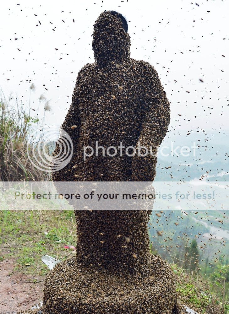 Man covers himself in 460,000 bees