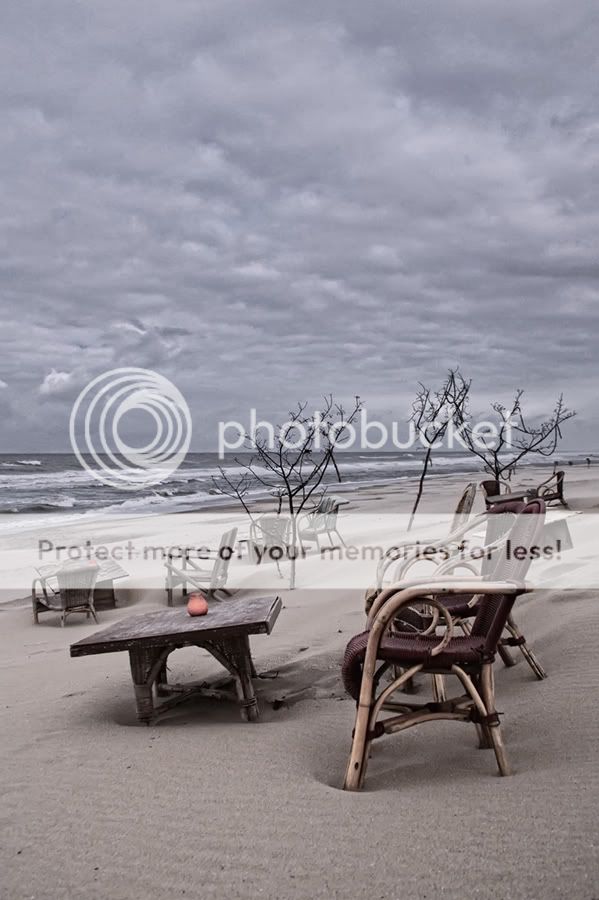 Fotografie