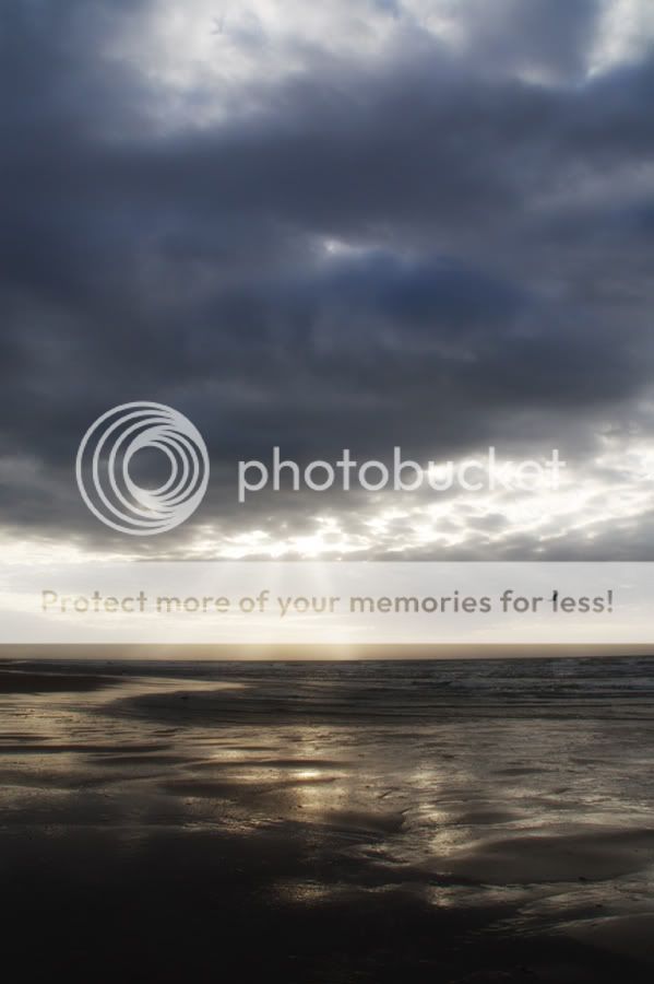 Fotografie