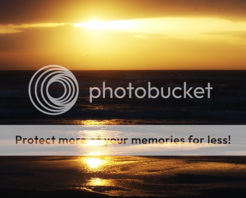Fotografie