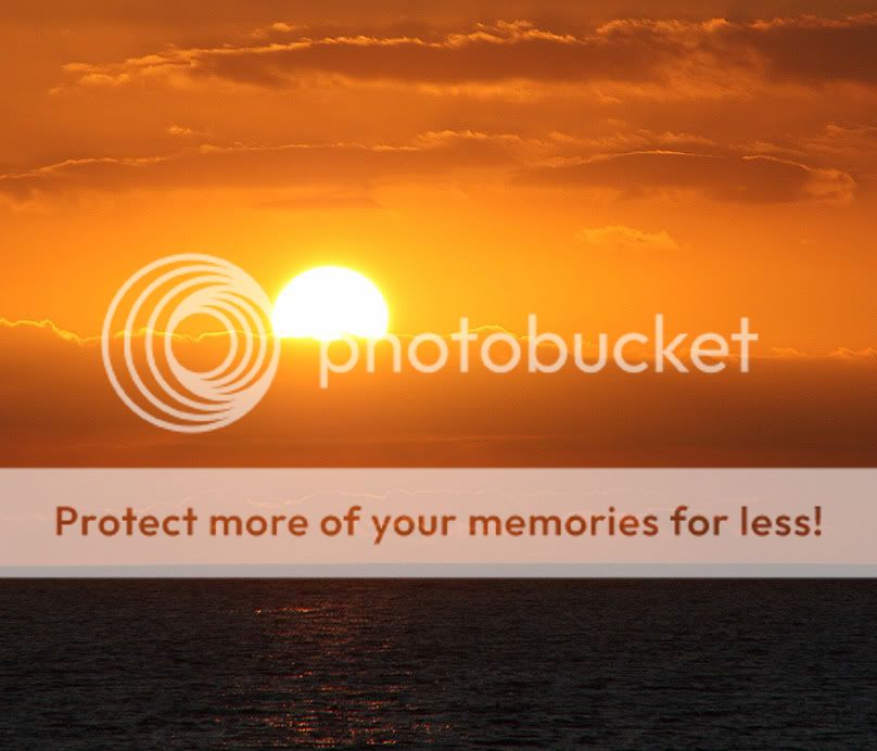 Fotografie