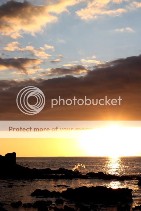 Fotografie