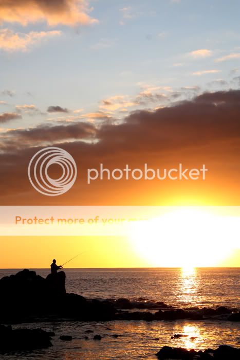 Fotografie