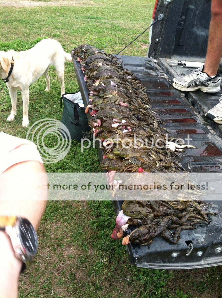 Frog Gigging Champs 2 Cool Fishing Forum