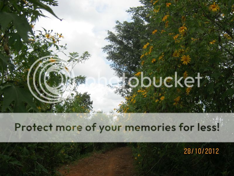 Nghẹt một bên mũi, làm sao đây các bác?