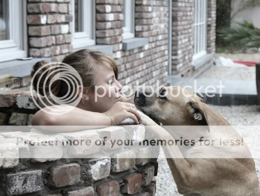 Fotografie